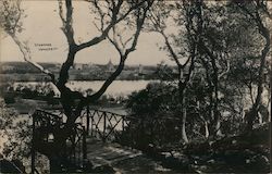 View of Stanford University Postcard