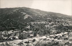 Los Gatos in the Green Hills California Postcard Postcard Postcard