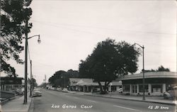 Street Scene Los Gatos, CA Postcard Postcard Postcard