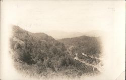 Mountain View Postcard