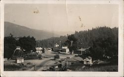 Birdseye View of Holy City, California Postcard