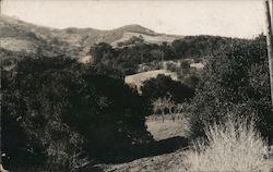 Woodhills Ranch, Prospect Road, Santa Clara County Postcard
