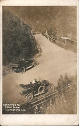 Entrance to Trout Park Postcard
