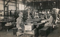 Women at Work - P.B. Payne Company Cannery Postcard