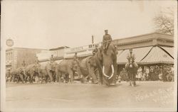 A Parade of Elephants, Circus Visalia, CA Postcard