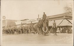 A Parade of Elephants, Circus Postcard