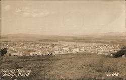 Federal Terrace Postcard