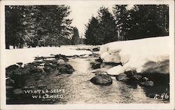 Winter Scene Postcard