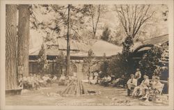 Studio and Soda Fountain, Camp Curry Postcard