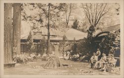 Studio and Soda Fountain, Camp Curry Yosemite, CA Postcard Postcard Postcard