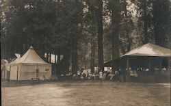 Camp Curry Postcard