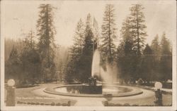 The Fountain - Hotel Wawona California Postcard Postcard Postcard