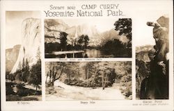 Scenes near Camp Curry Yosemite National Park Postcard