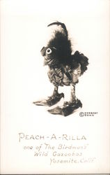 Peach-a-Rilla, One of "The Birdman's" Wild Gazoobas Postcard