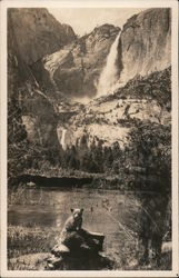 A Small Bear Sitting in Front of a Waterfall Postcard