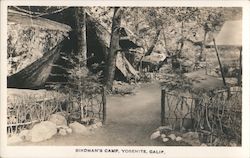 Birdman's Camp, Yosemite, Calif. California Postcard Postcard Postcard