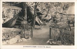 Birdman's Camp, Yosemite, Calif. Postcard