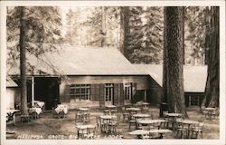 Mariposa Grove Big Trees Lodge Postcard
