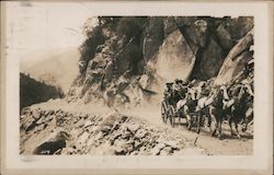 A Horse Drawn Carriage Postcard