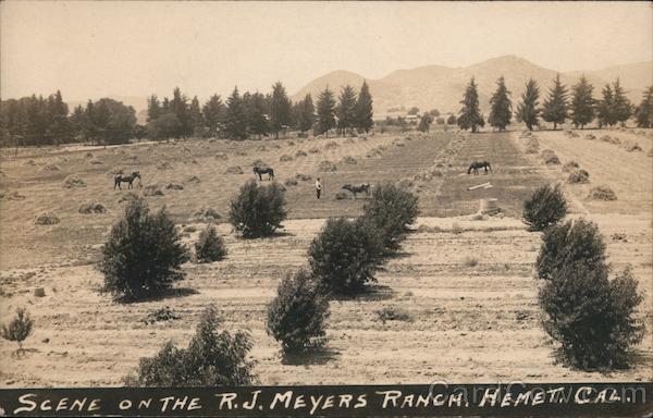 Scene on the R.J. Meyers Ranch Hemet California