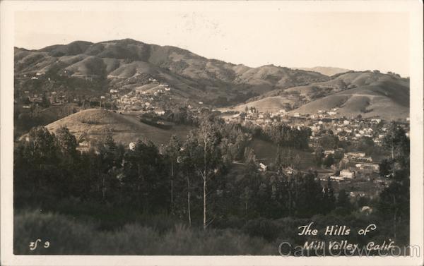 The Hills of Mill Valley California