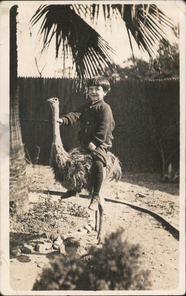 Boy on ostrich Los Angeles California