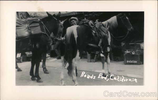 Roads End California