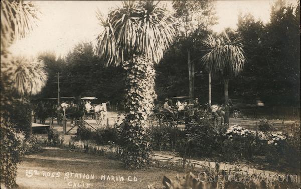 Ross Station, Horse-Drawn Buggies California