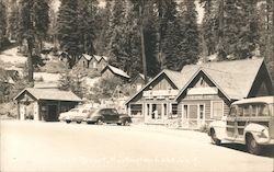 Home Creek Resort Postcard