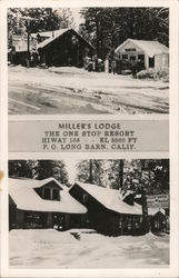 Miller's Lodge - The One Stop Resort Long Barn, CA Postcard Postcard Postcard