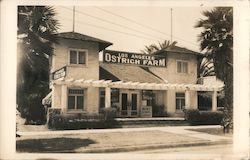 Exterior of Los Angeles Ostrich Farm Postcard