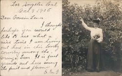 A Woman Picking Fruit Postcard