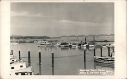 Martinez Yacht Harbor Postcard