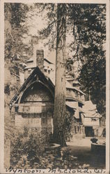 Wyntoon large house Postcard