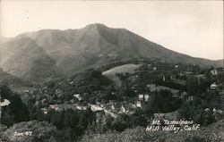 View of Mt. Tamalpais Postcard