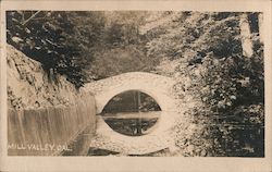 Mill Valley, CA Postcard