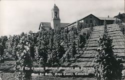 Mont La Salle, Christian Brothers Monastery and Vineyards Postcard