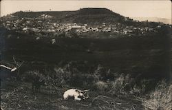 View of Town, Hillside Mokelumne Hill, CA Postcard Postcard Postcard