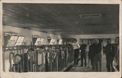 Dairy Farmers, Milking Parlor Postcard