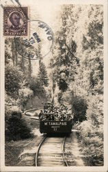 Gravity Ride, Mt. Tamalpais & Muir Woods Ry. Mill Valley, CA Postcard Postcard Postcard