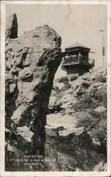 The Tip Top - Mt. Tamalpais & Muir Woods Postcard