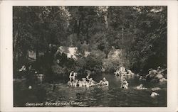 Oakland Recreation Camp Postcard