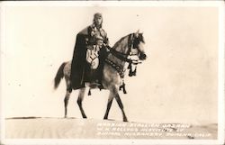 Arabian Stallion Jadaan - W.H. Kellogg Institute of Animal Husbandry Pomona, CA Postcard Postcard Postcard