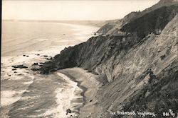 The Redwood Highway, Coastal Scene Postcard