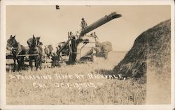 Thrashing Rice - 1913 Postcard
