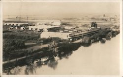 New Year's Greeting from Rio Vista Plant California Packing Corporation Postcard
