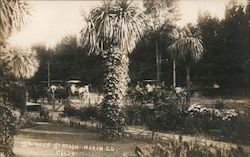 Ross Station, Horse-Drawn Buggies Postcard