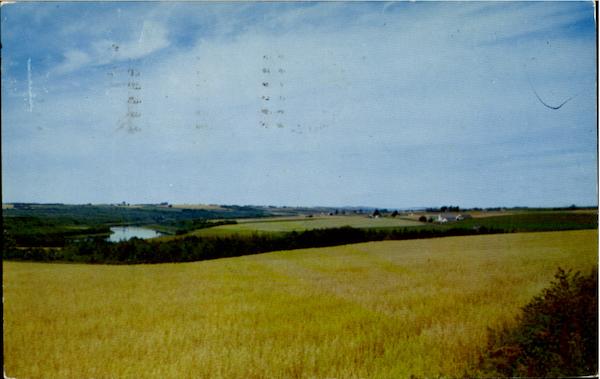 A General Farm View Maine