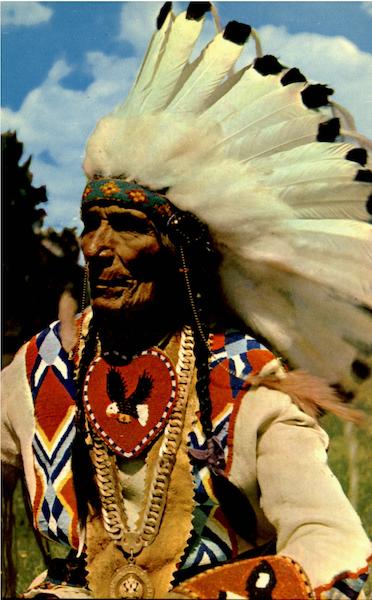 Indian Chief Native Americana