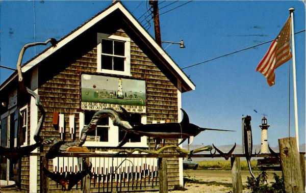 Sea Serpents Martha's Vineyard Massachusetts